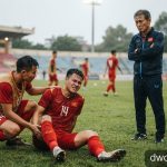 FIFA ASEAN Cup 2026: Bài toán nhân sự và nỗi lo 'chấn thương chồng chấn thương' của tuyển Việt Nam